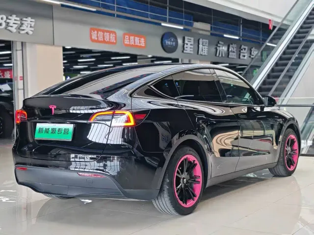 Tesla Model Y — Фото автомобиля 6
