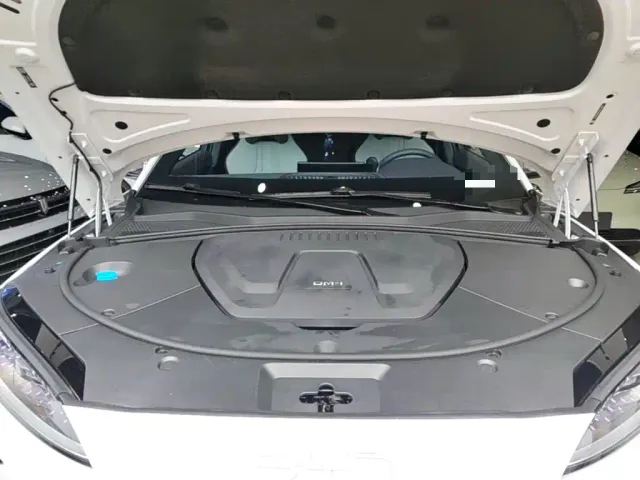 BYD Song PLUS — Фото автомобиля 19