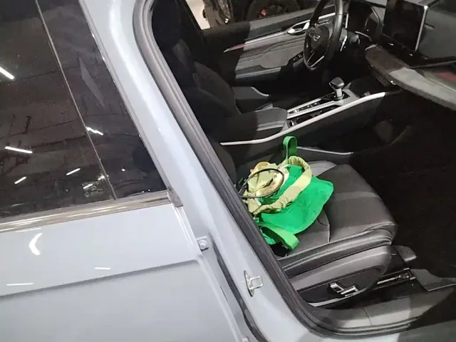 Geely Xingrui — Фото автомобиля 24