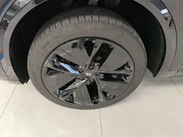 Li Auto L9 — Фото автомобиля 22