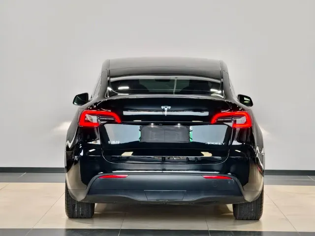 Tesla Model Y — Фото автомобиля 7