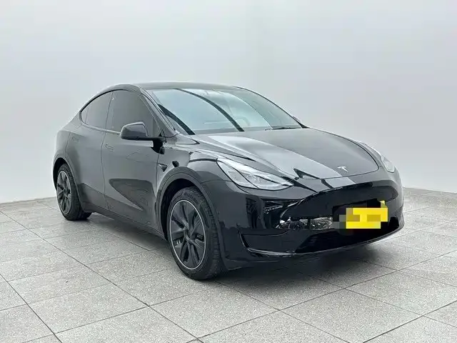 Tesla Model Y — Фото автомобиля 3