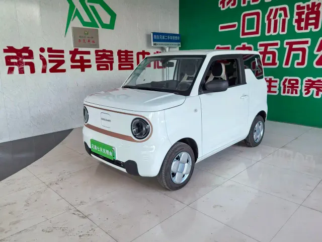 Фотография автомобиля — Geely Panda