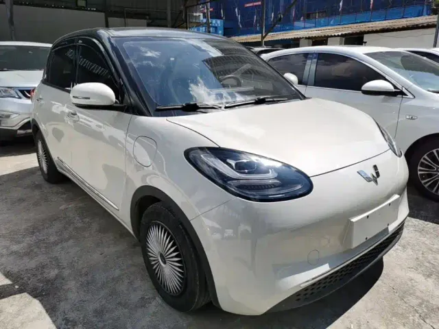 Wuling Motors Wuling Bingo 2023 203km Comfort Version — Фото автомобиля 3
