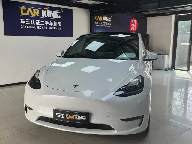 Tesla Model Y — Фото автомобиля 2