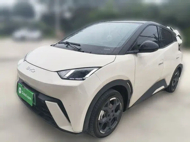Фотография автомобиля — BYD Seagull