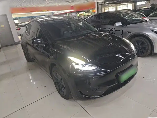 Tesla Model Y — Фото автомобиля 3