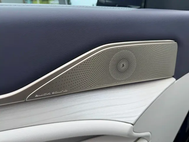 Buick Electra L7 — Фото автомобиля 11