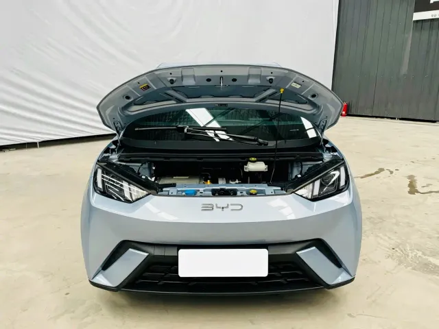 BYD Seagull — Фото автомобиля 12