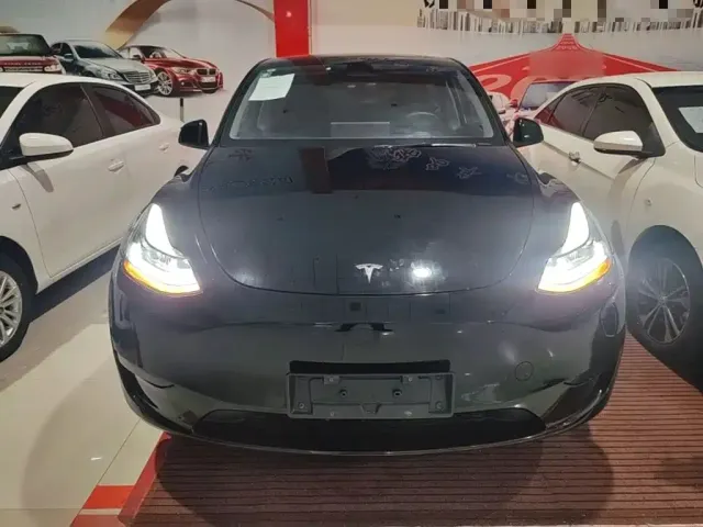 Tesla Model Y — Фото автомобиля 2