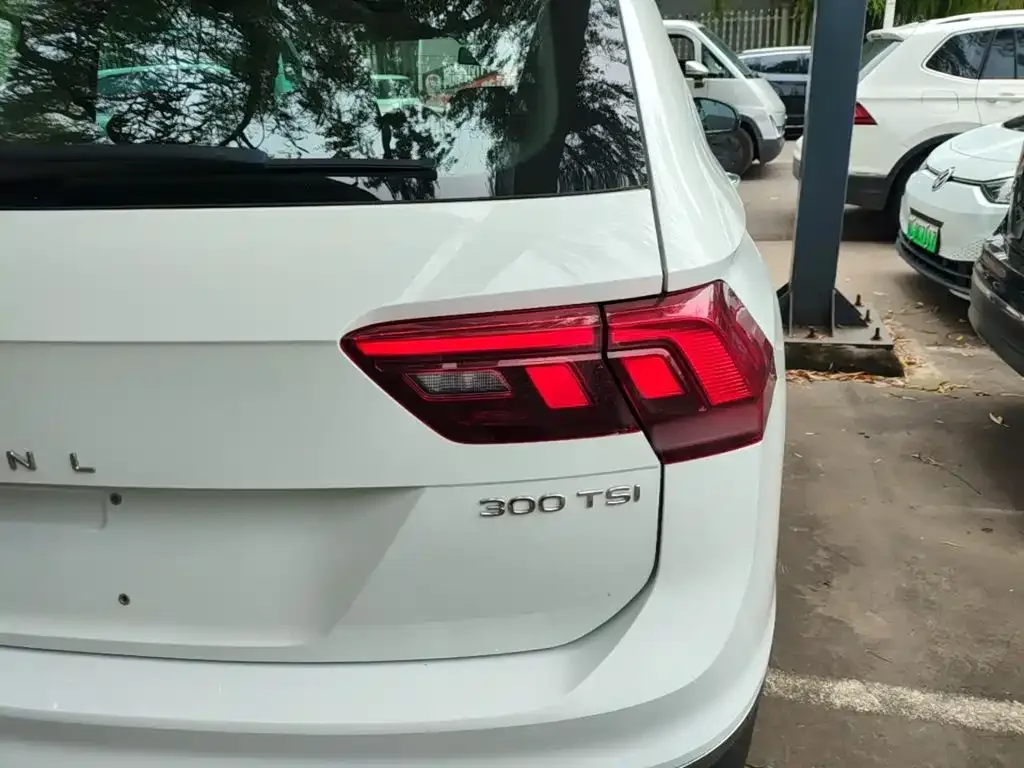 Volkswagen Tiguan L 2024 Outstanding 300TSI Auto 2WD Dragon Soaring Edition — Фото автомобиля 7