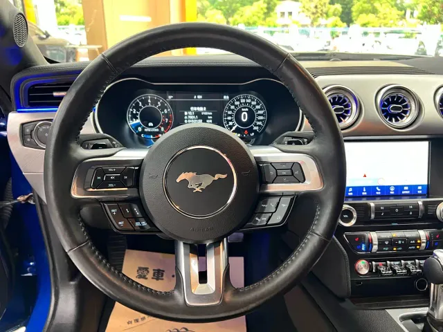 Ford Mustang — Фото автомобиля 14