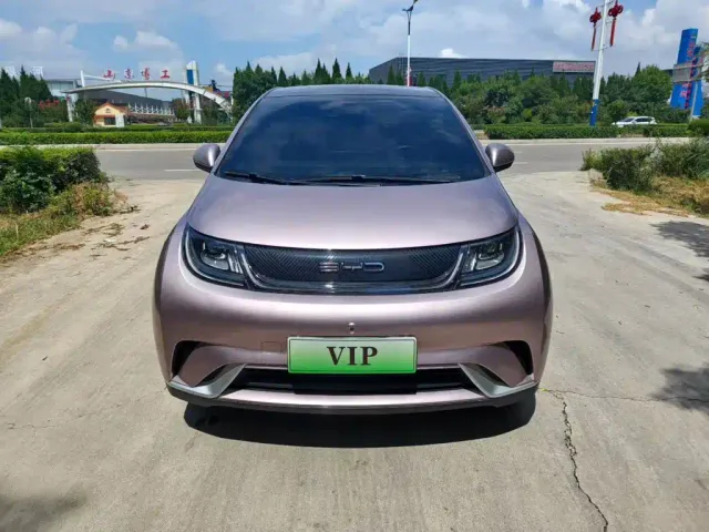 BYD Dolphin 2025 420km Freedom Edition — Фото автомобиля 21