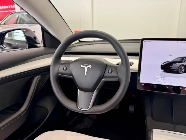 Tesla Model 3 — Фото автомобиля 11
