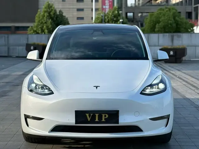 Tesla Model Y — Фото автомобиля 2