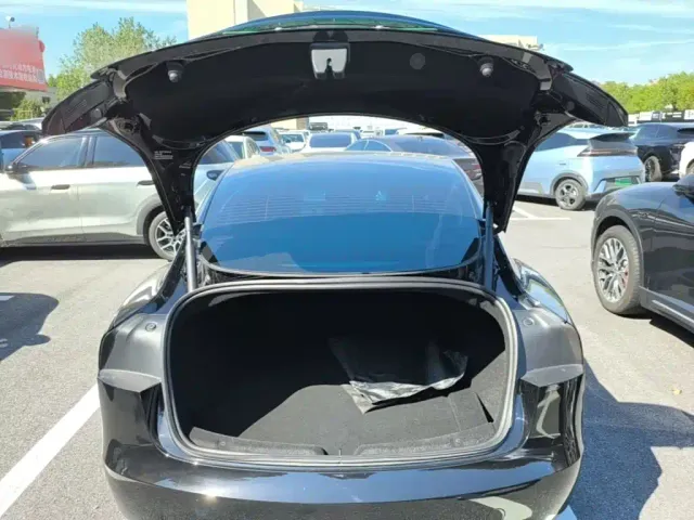 Tesla Model 3 — Фото автомобиля 18
