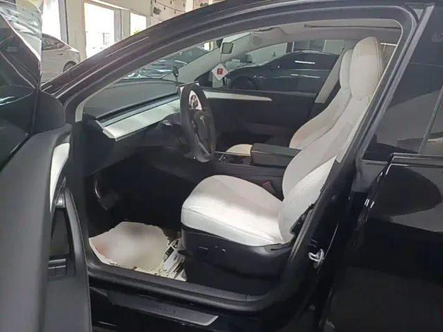 Tesla Model Y — Фото автомобиля 15