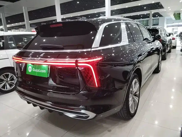 Hongqi E-HS9 — Фото автомобиля 6