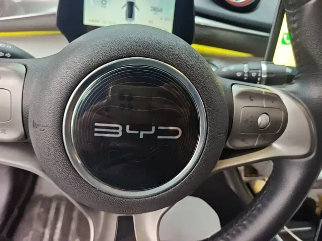 BYD Dolphin — Фото автомобиля 11