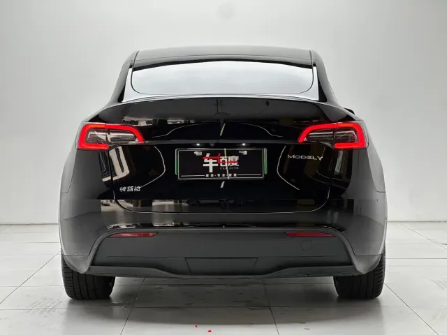 Tesla Model Y — Фото автомобиля 5