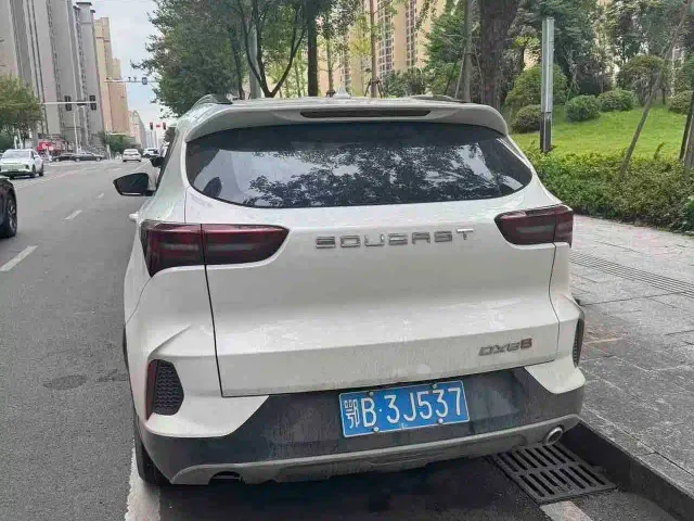 Soueast DX8S — Фото автомобиля 8