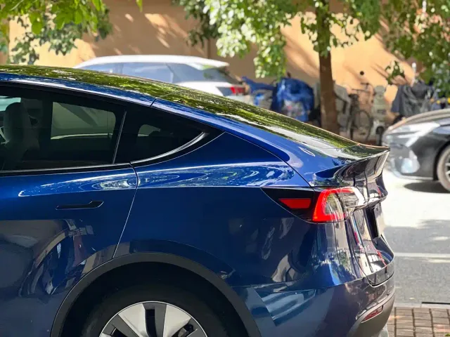 Tesla Model Y — Фото автомобиля 2