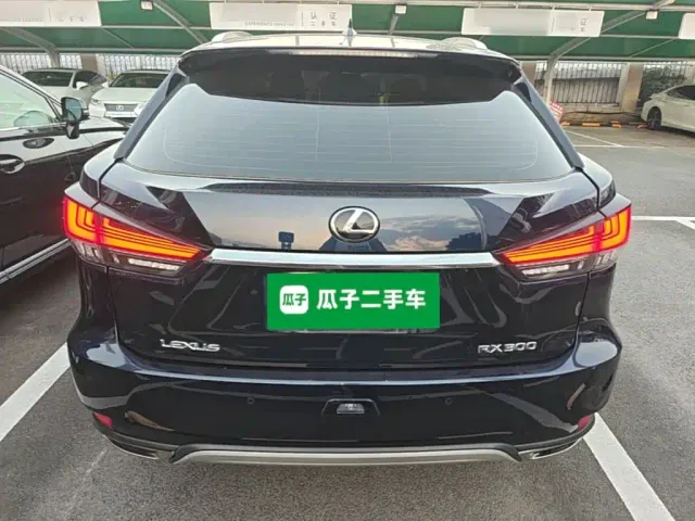 Lexus RX — Фото автомобиля 5