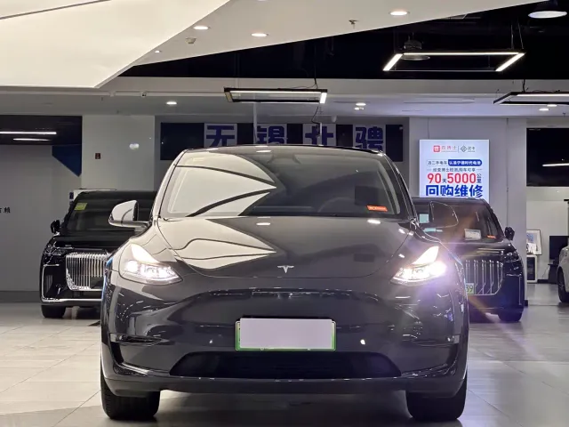 Tesla Model Y — Фото автомобиля 2