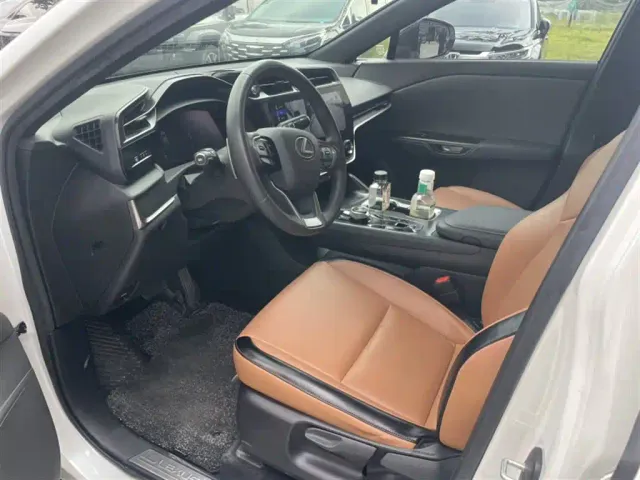 Lexus Lexus RZ 2023 450e 4WD Expedition Edition — Фото автомобиля 4