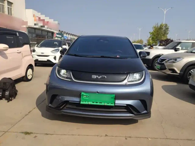 BYD Dolphin — Фото автомобиля 2