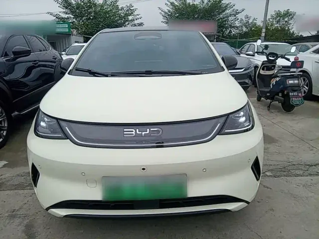 BYD Dolphin — Фото автомобиля 2