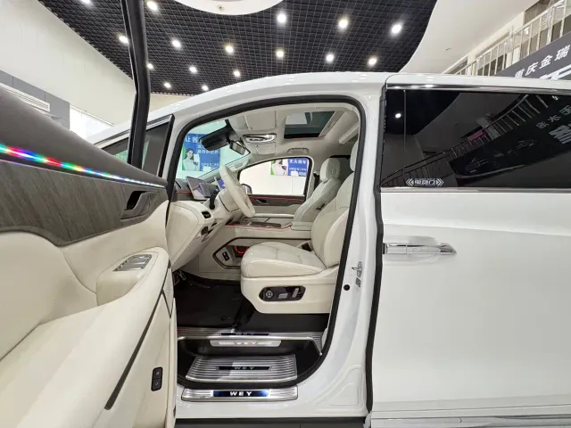 Wey Alpine — Фото автомобиля 7