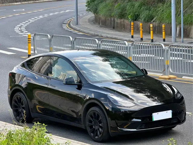 Tesla Model Y — Фото автомобиля 3