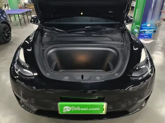Tesla Model Y — Фото автомобиля 19