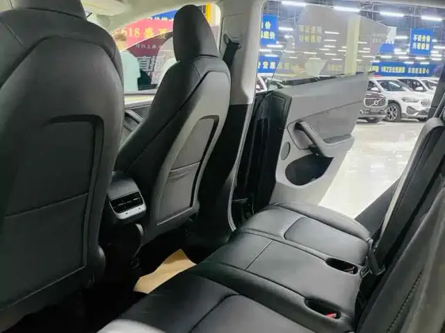 Tesla Model Y — Фото автомобиля 10