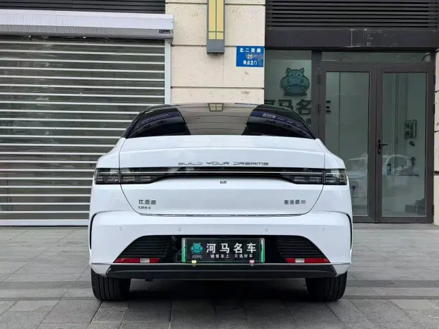 BYD Destroyer 05 — Фото автомобиля 11
