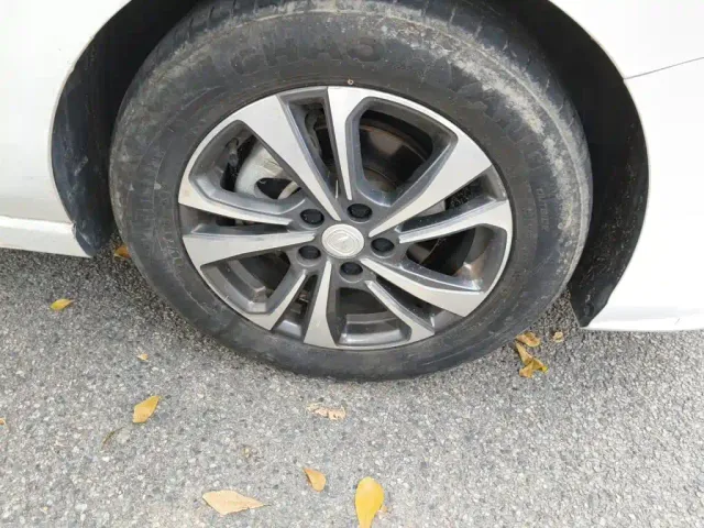 Changan Eado — Фото автомобиля 8