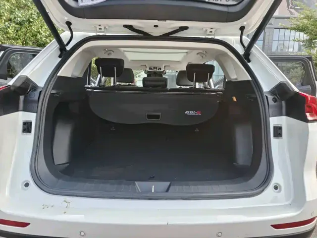 Haval Haval H6 2021 Model 1.5T Automatic Champion Edition — Фото автомобиля 9