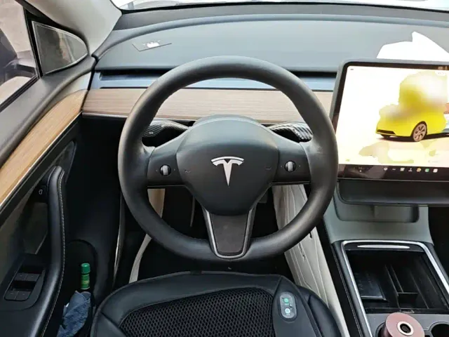 Tesla Model Y — Фото автомобиля 10