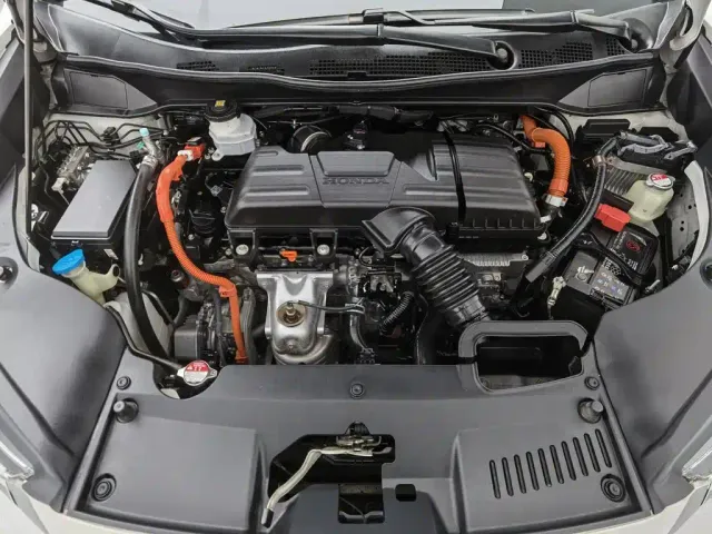 Honda Odyssey — Фото автомобиля 6