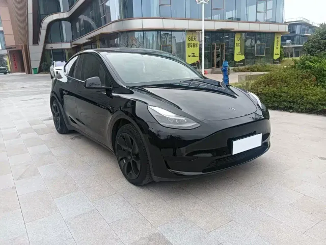 Tesla Model Y — Фото автомобиля 2