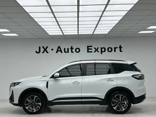 Chery Tiggo 7 PLUS — Фото автомобиля 8