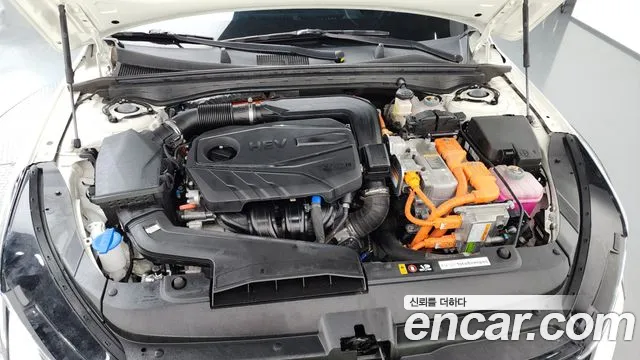 Kia K5 Signature — Фото автомобиля 5