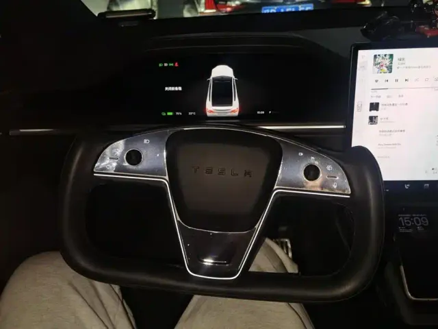 Tesla Model X — Фото автомобиля 15