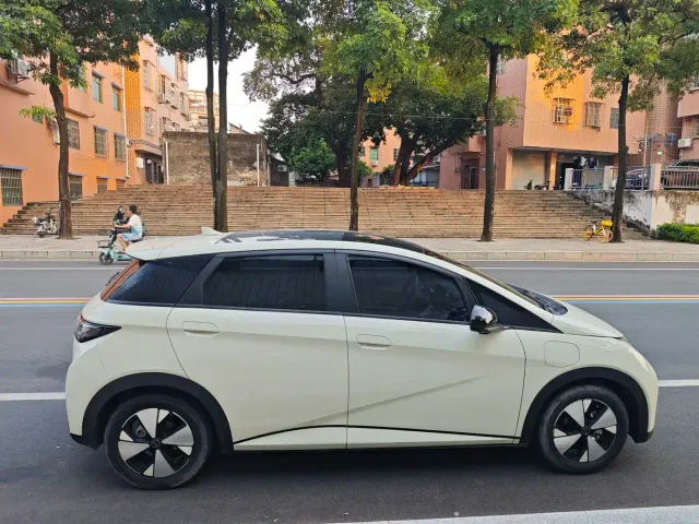 BYD Dolphin — Фото автомобиля 4