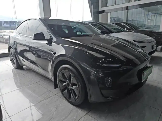 Tesla Model Y — Фото автомобиля 3