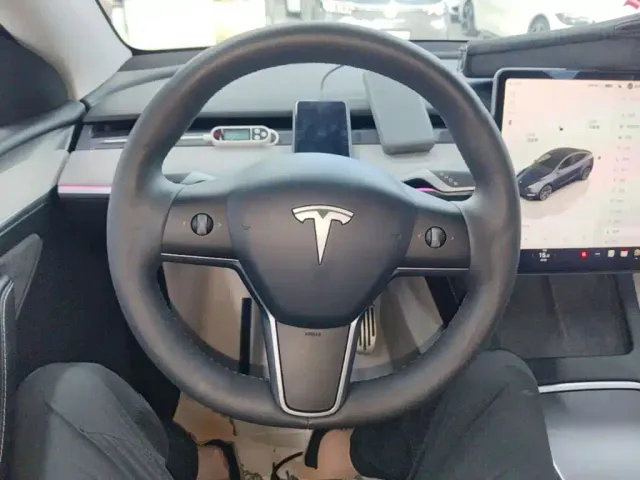 Tesla Model Y — Фото автомобиля 10