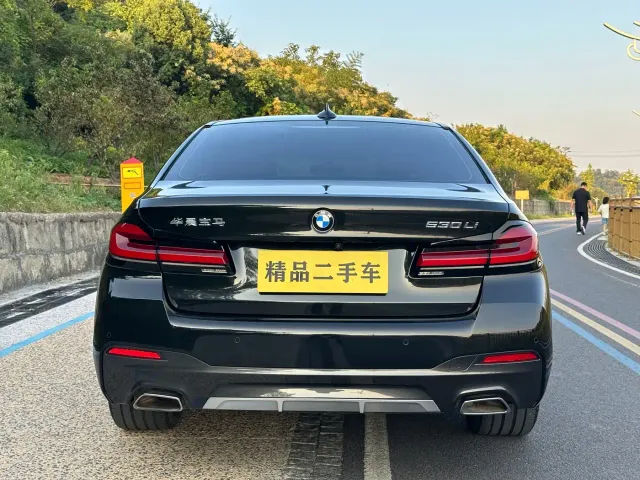 BMW 5 Series — Фото автомобиля 14