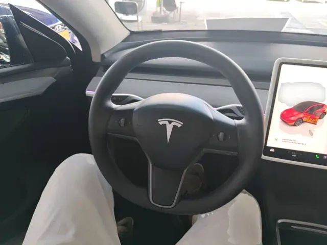 Tesla Model Y — Фото автомобиля 10