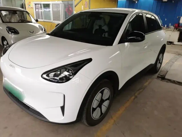 Фотография автомобиля — Geely Starry Wish